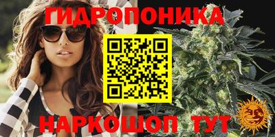 стаф Пушкино